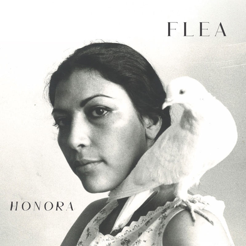 Flea - Honora - album solista - Red Hot Chili Peppers - copertina disco